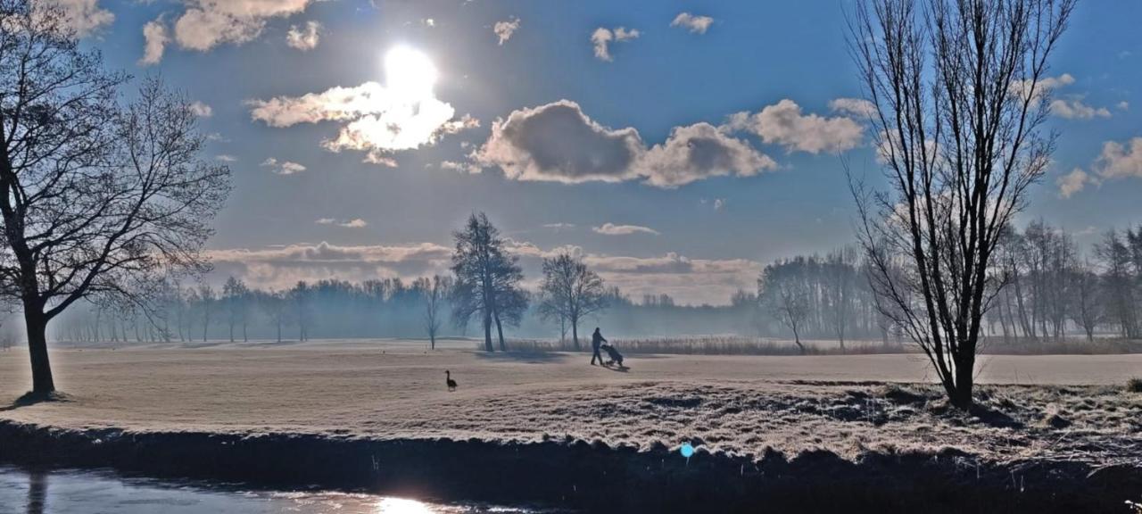 Villa Prinsenhof # Zes بيرشِن المظهر الخارجي الصورة